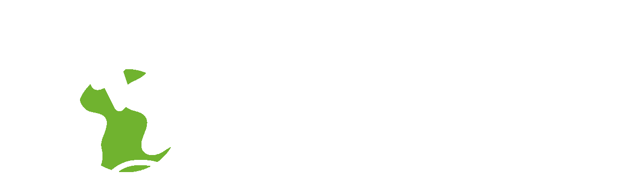 Open Skies Web Logo